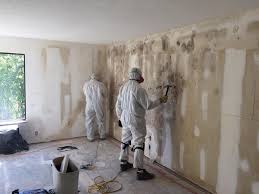 Best Attic Mold Removal  in USA